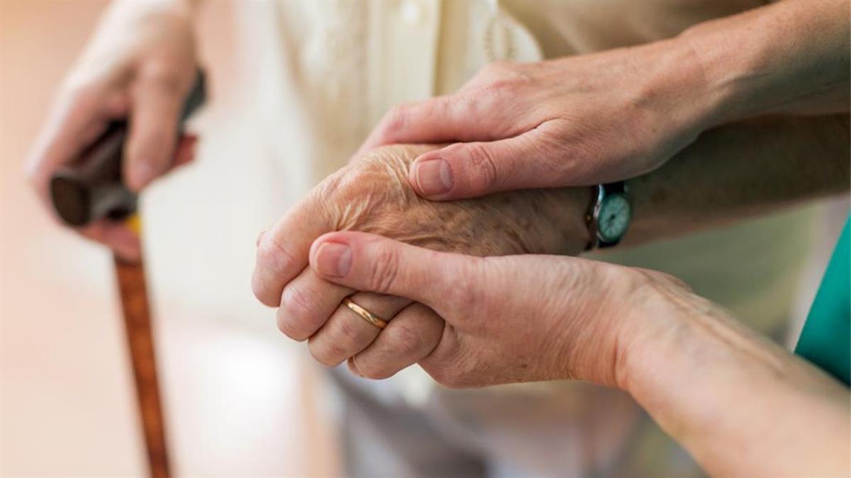 Se aprueba la adjudicación del contrato de este servicio 