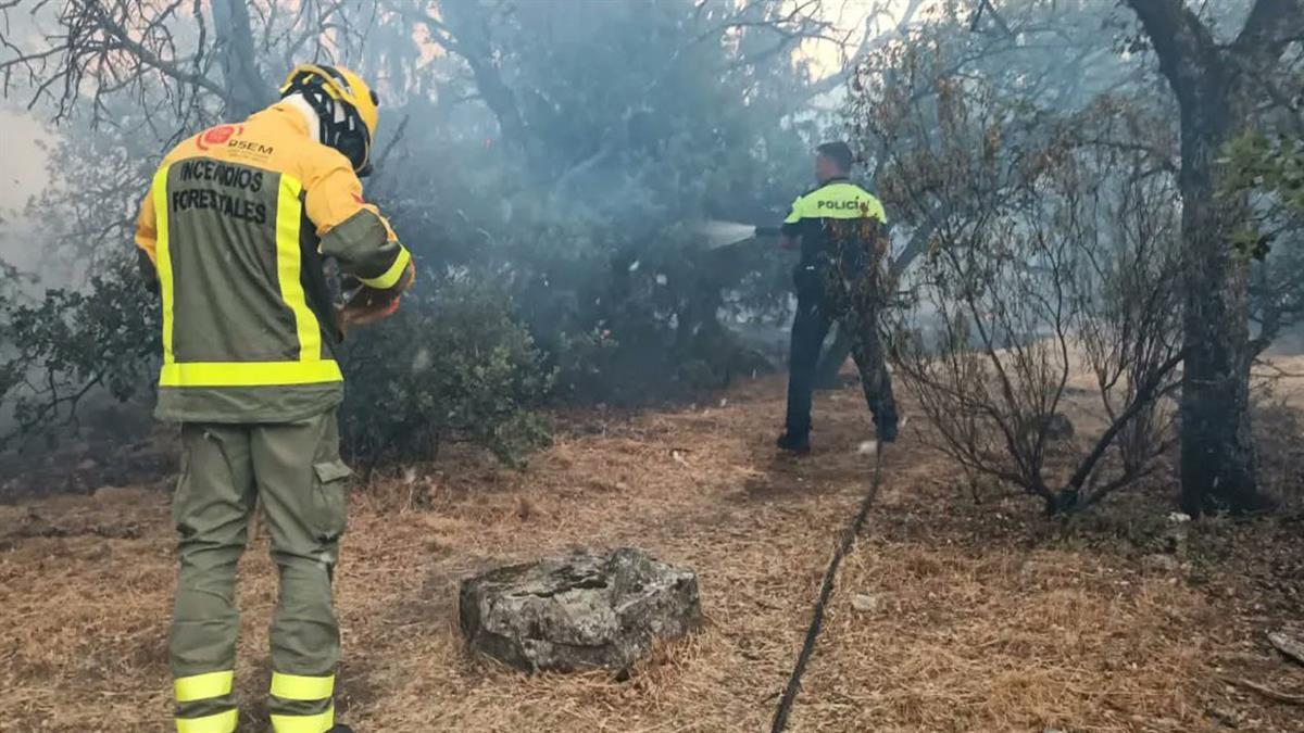 La Policía investiga que el fuego haya podido ser provocado