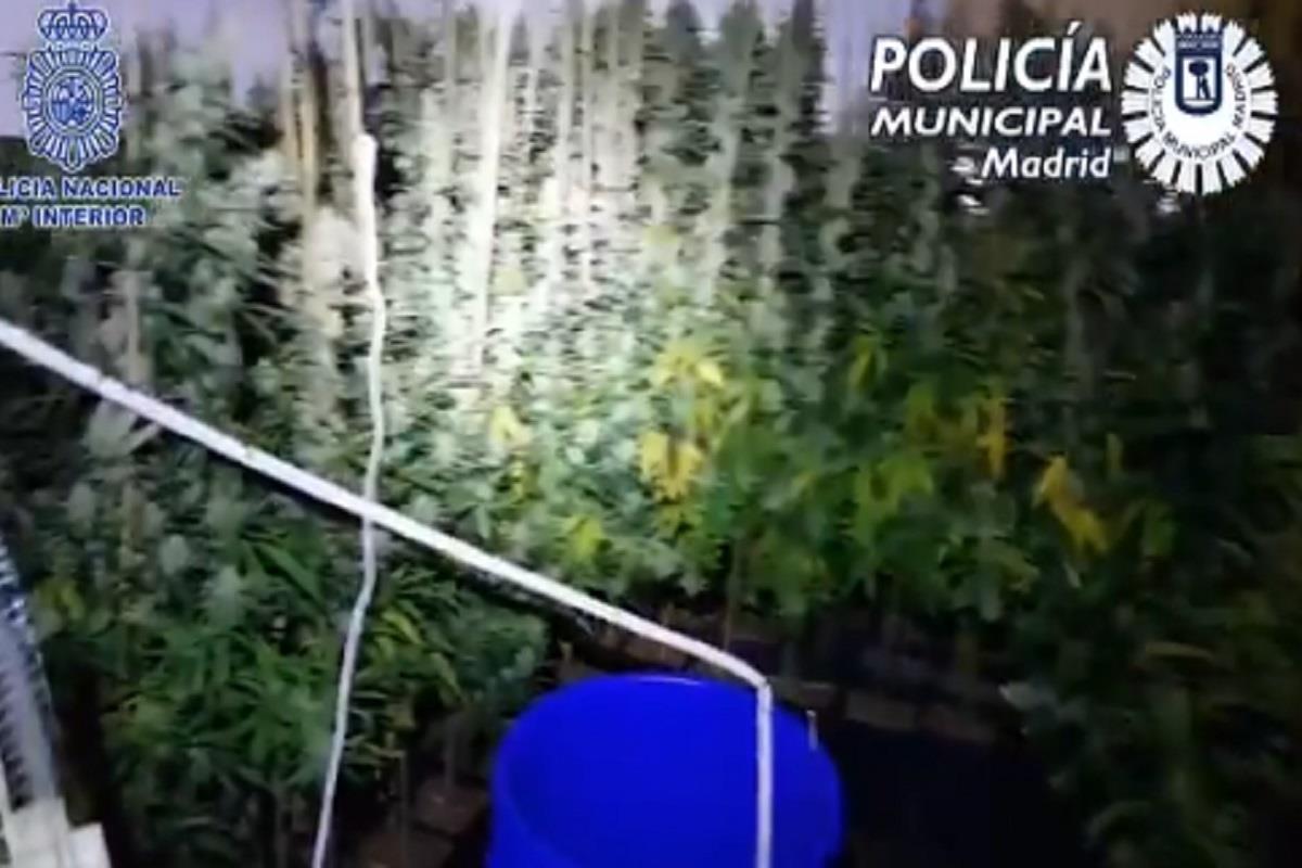 La Policía registró 136 kilos de marihuana , 630 euros en efectivo, cuatro gramos de cocaína, y un abono bancario de 4.900 euros 