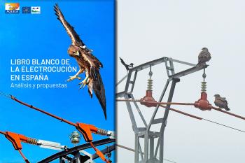 El proyecto AQUILA a-LIFE ofrece soluciones para mitigar este problema