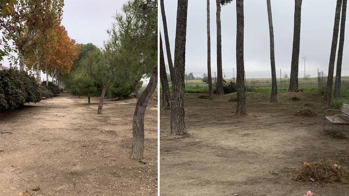 El alcalde de Griñón habla de la importancia de su mantenimiento