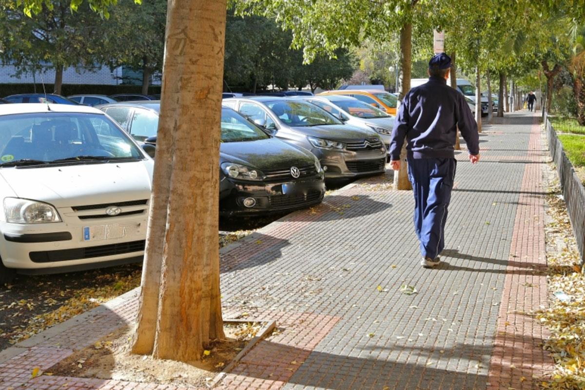Julio Huete: “Realizamos podas durante todo el año”