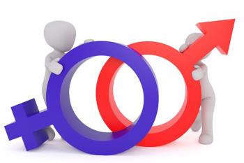 La información estadística se unifica con este sistema para conocer la situación "con mayor precisión"