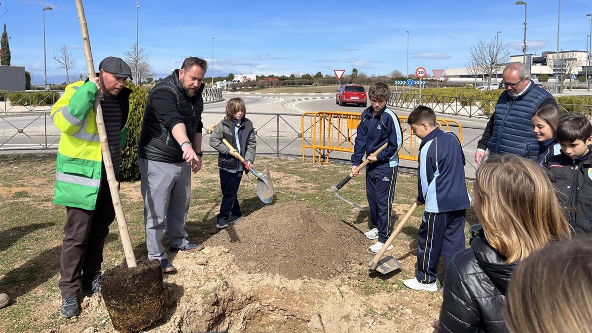 El Ayuntamiento de Paracuellos comienza una plantación de árboles y su sistema de riego en diferentes zonas