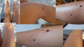 La dueña del gato ha denunciado el suceso en redes sociales