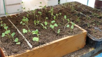 Los centros se pueden inscribir a través del formulario online de Actividades Educativas Municipales 