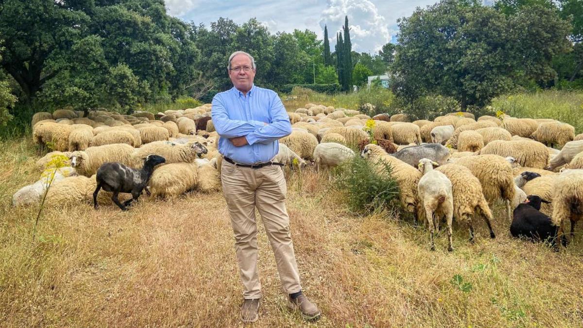 Permite ahorrar a las arcas públicas un importante presupuesto 