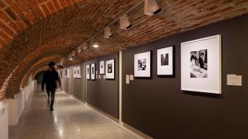 Son un total de 111 imágenes de 66 fotógrafos como Berenice Abbott, Manuel Álvarez Bravo, Diane Arbus, Robert Capa, Elliott Erwitt, Helmut Newton, Vivian Maier o Man Ray