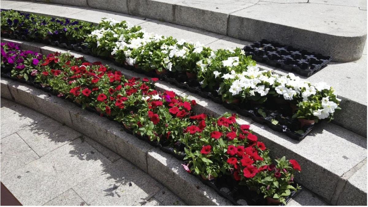 La iniciativa está enfocada a sensibilizar sobre la Esclerosis Múltiple y los efectos que produce