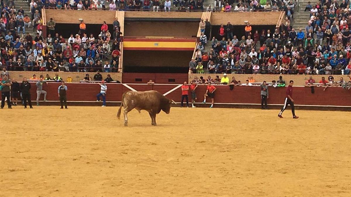 El objetivo es facilitar la accesibilidad y visibilidad para este colectivo
