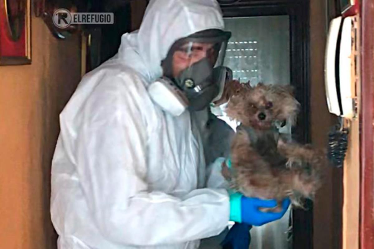 ‘El Refugio’ crea una unidad de intervención para socorrer a las mascotas de las personas hospitalizadas por coronavirus