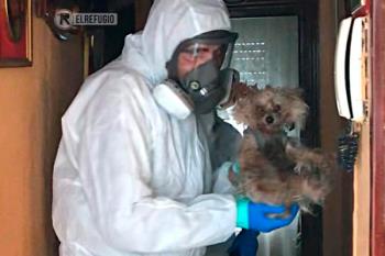 ‘El Refugio’ crea una unidad de intervención para socorrer a las mascotas de las personas hospitalizadas por coronavirus