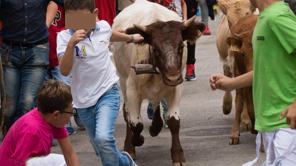 La formación se planta contra la tauromaquia en las Fiestas Patronales
