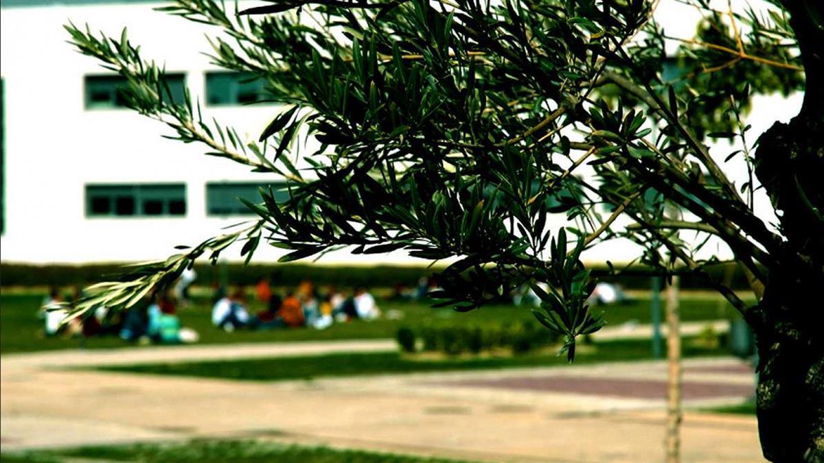 El campus de Móstoles ya tiene preparado su programa veraniego