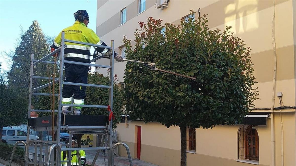 Con la plantación de casi 500 árboles en diversas zonas y espacios