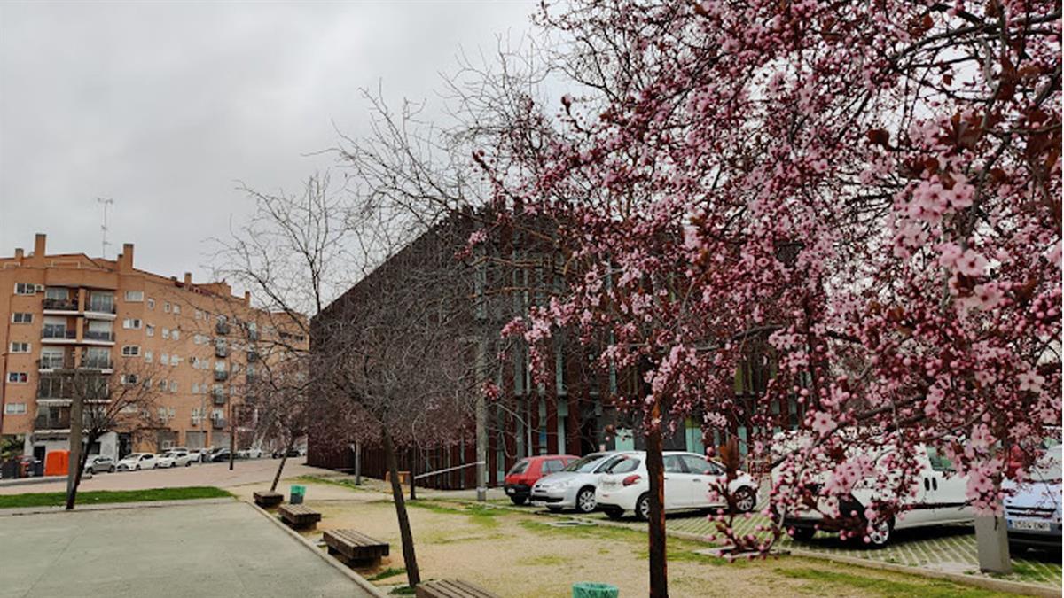 El programa de acogida de menores saharauis está de aniversario