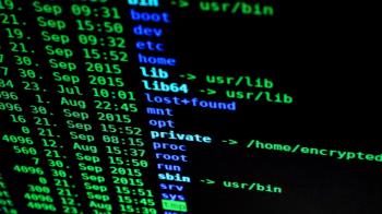 Los cyber-delincuentes se hacían pasar por entidades bancarias