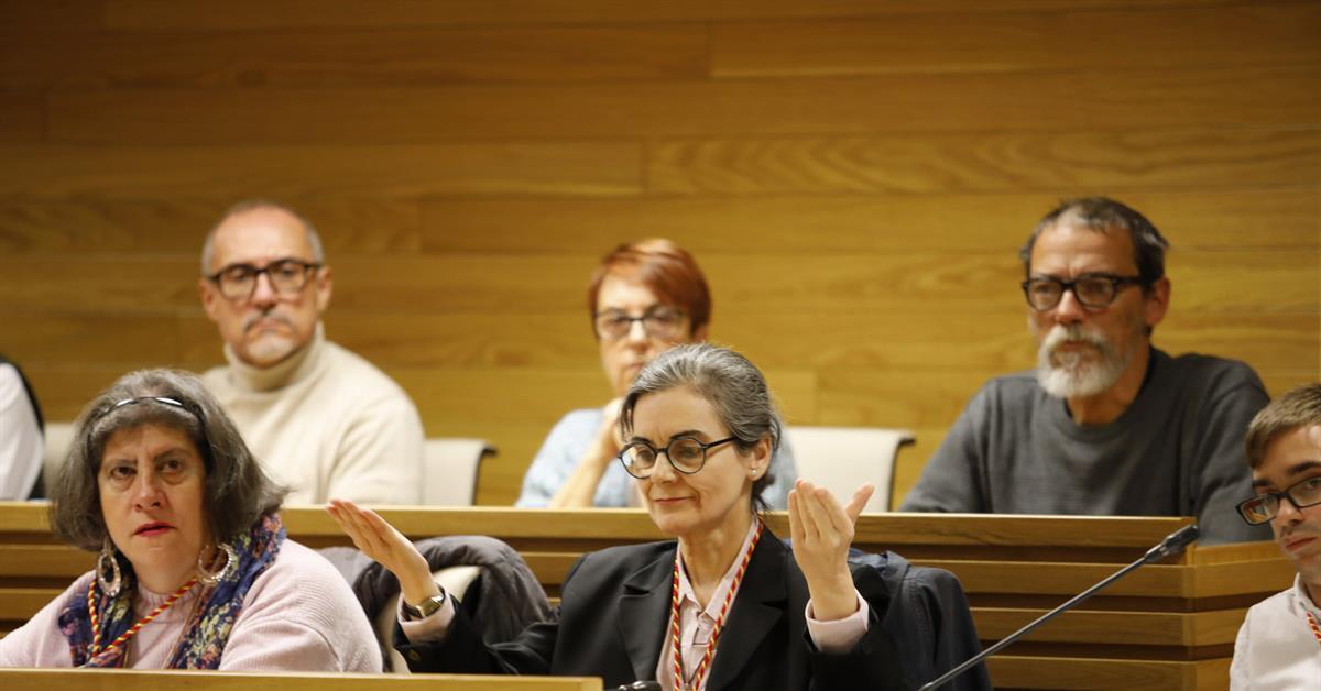 Seis personas participará en un Pleno retransmitido en directo