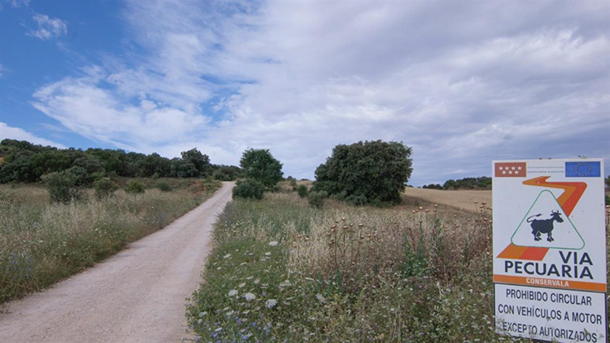 La formación remite un escrito al Ministerio para la Transición Ecológica y al consejero de Medio Ambiente de la Comunidad de Madrid