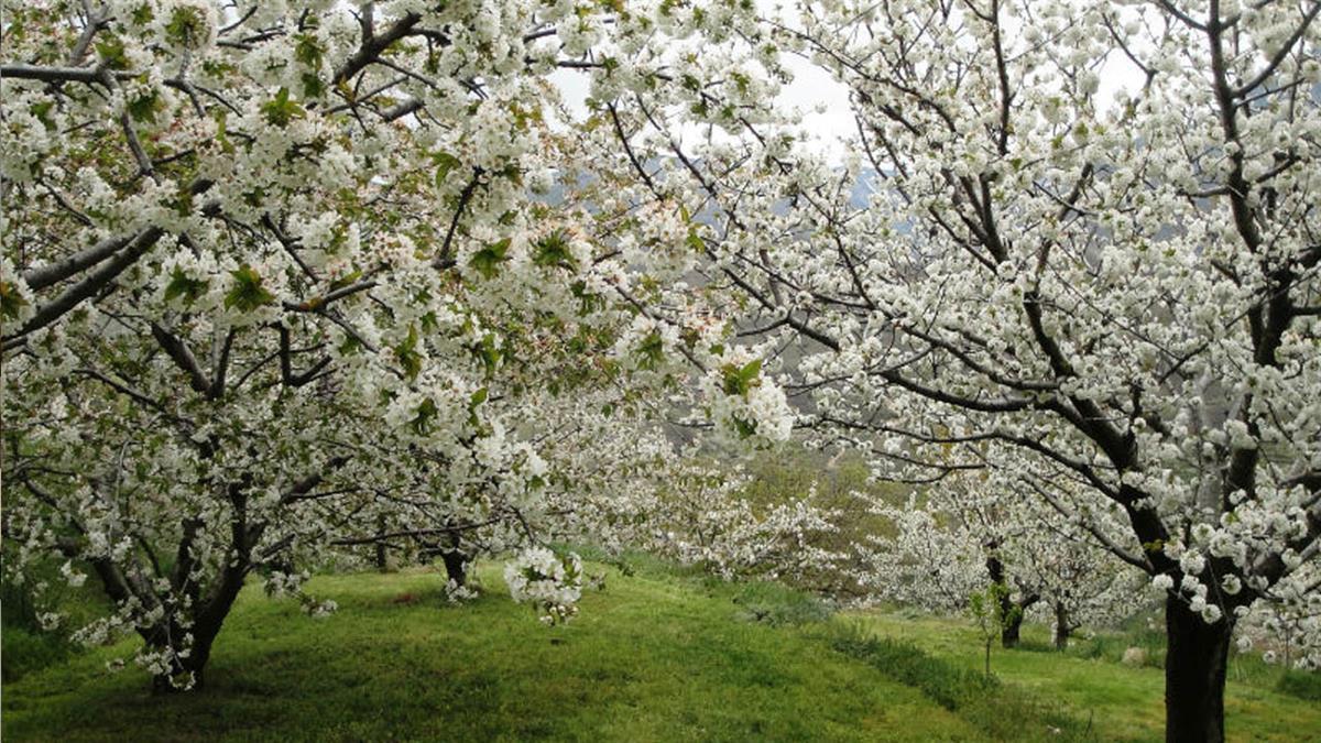 El Ayuntamiento ha programado una excursión para este colectivo, del 29 al 31 de marzo