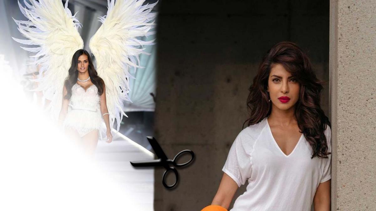 La firma anuncia una nueva iniciativa bajo el nombre "VS Collective"