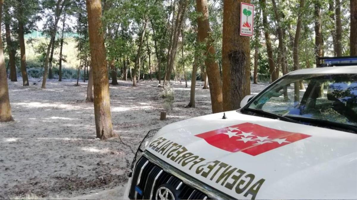 Una medida para evitar incendios forestales