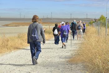 Para conmemorar el Día Internacional de las Personas de Edad