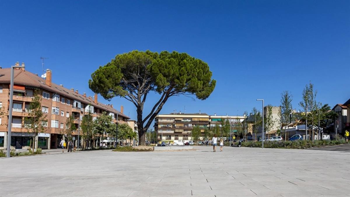 El comercio y los servicios refuerzan la economía municipal