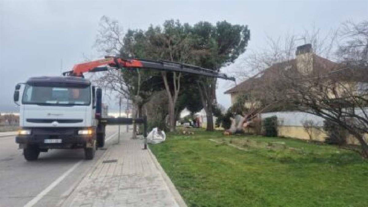 Se registraron rachas de viento de hasta 99 km/h que provocaron la caída de más de 200 árboles
