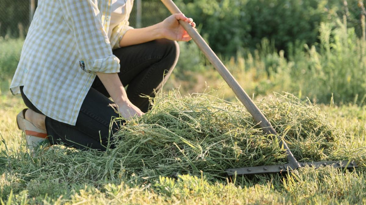 Esta actuación se enmarca en el Plan Municipal de Prevención de Incendios