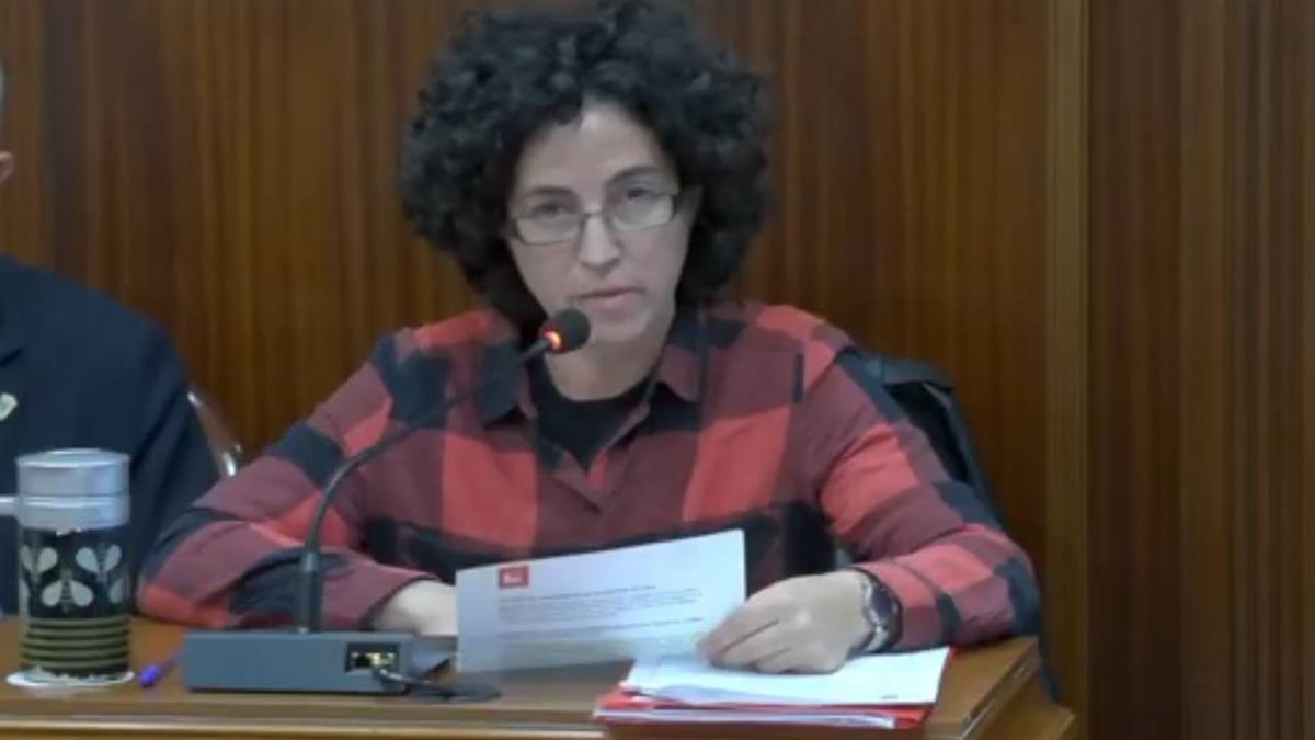 La formación presentó una moción sobre movilidad sostenible 