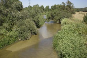 El objetivo es eliminar los residuos sólidos en el cauce del rio entre Móstoles y Arroyomolinos