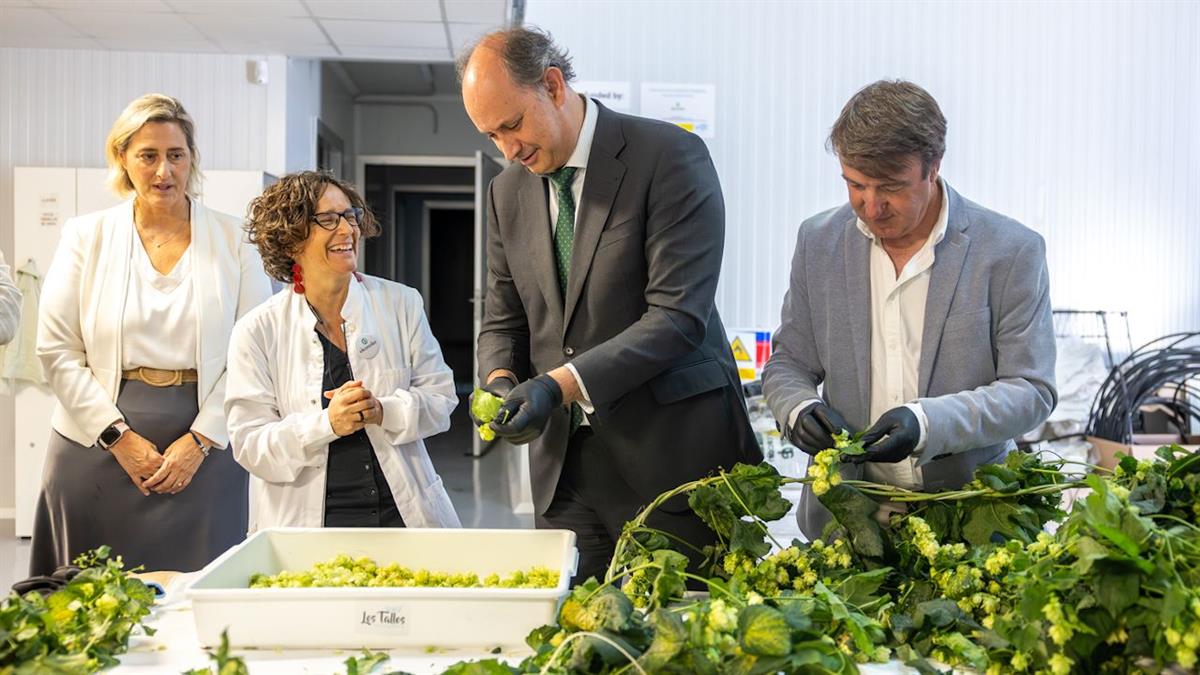 Gracias al apoyo de la Comunidad de Madrid, Ekonoke está desarrollando soluciones tecnológicas basadas en Inteligencia Artificial