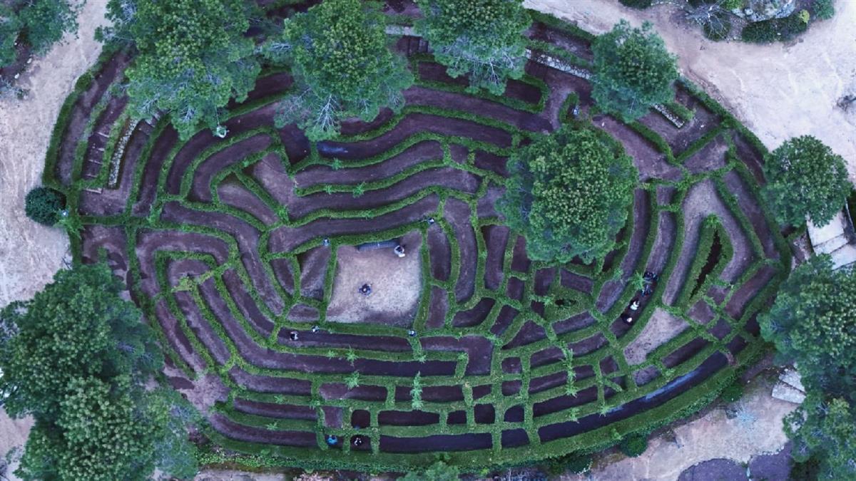 “Excursión en familia”, al Castillo de Coracera y el Bosque Encantado en San Martín de Valdeiglesias