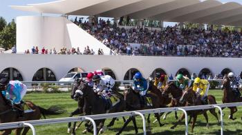 El Ayuntamiento organiza una salida cultural para los mayores del municipio 