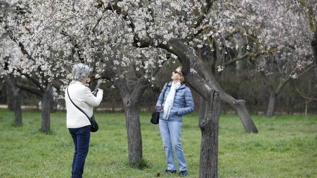 Con nuevas temáticas, más distritos y casi 22.000 plazas gratuitas
