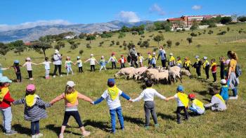 Se han realizado cerca de una treintena excursiones por escolares, estudiantes de la Universidad Autónoma de Madrid y colectivos culturales