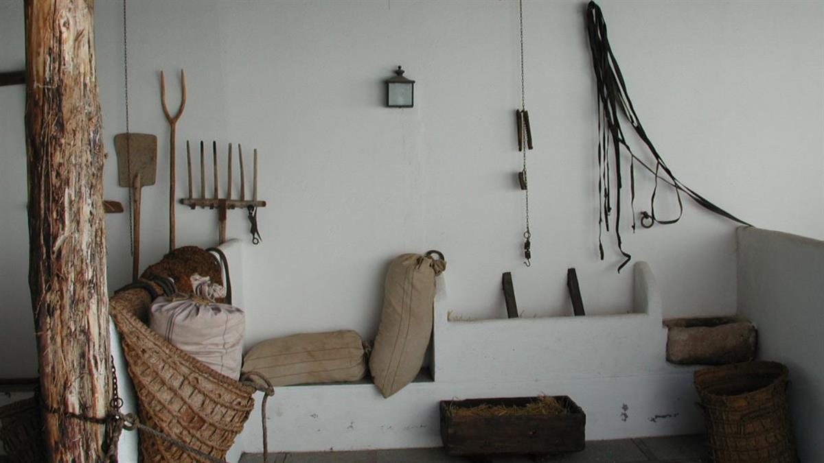 ¿Quieres conocer el Museo de la Ciudad y la Casa de Andrés Torrejón?