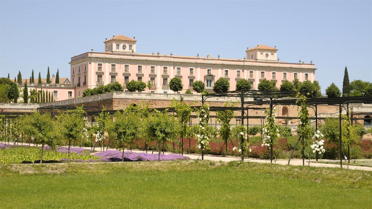 Con un máximo de 25 personas por visitas