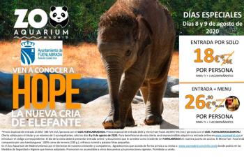 Si eres de Fuenla, el sábado 8 y domingo 9 de agosto podrás disfrutar de descuentos únicos en el zoo