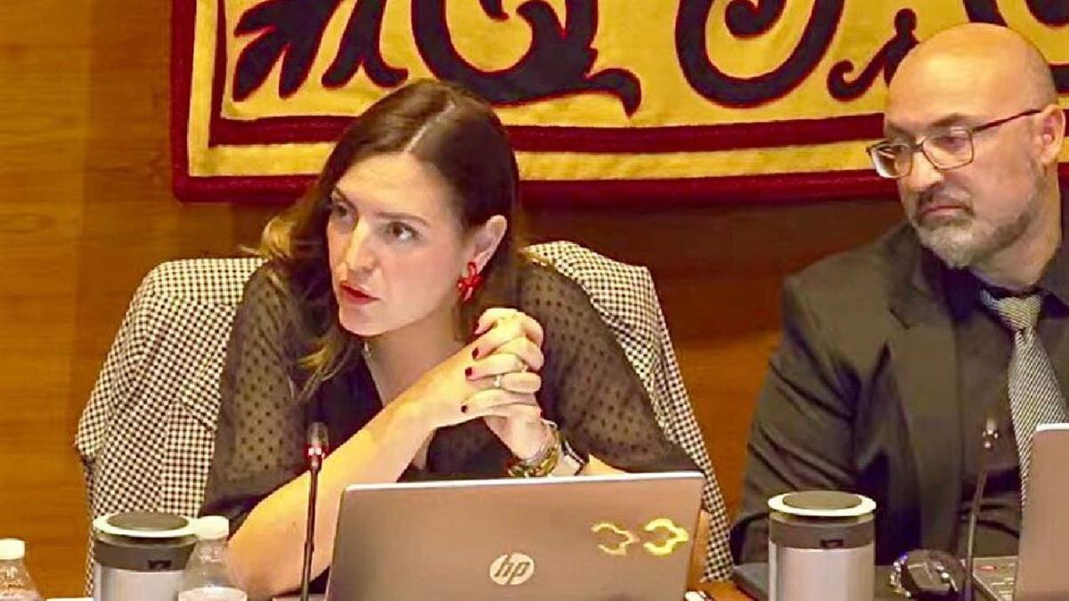 La portavoz de VOX ha denunciado "el uso partidista" de la sesión con mociones que “carecen de sentido en Arroyomolinos”