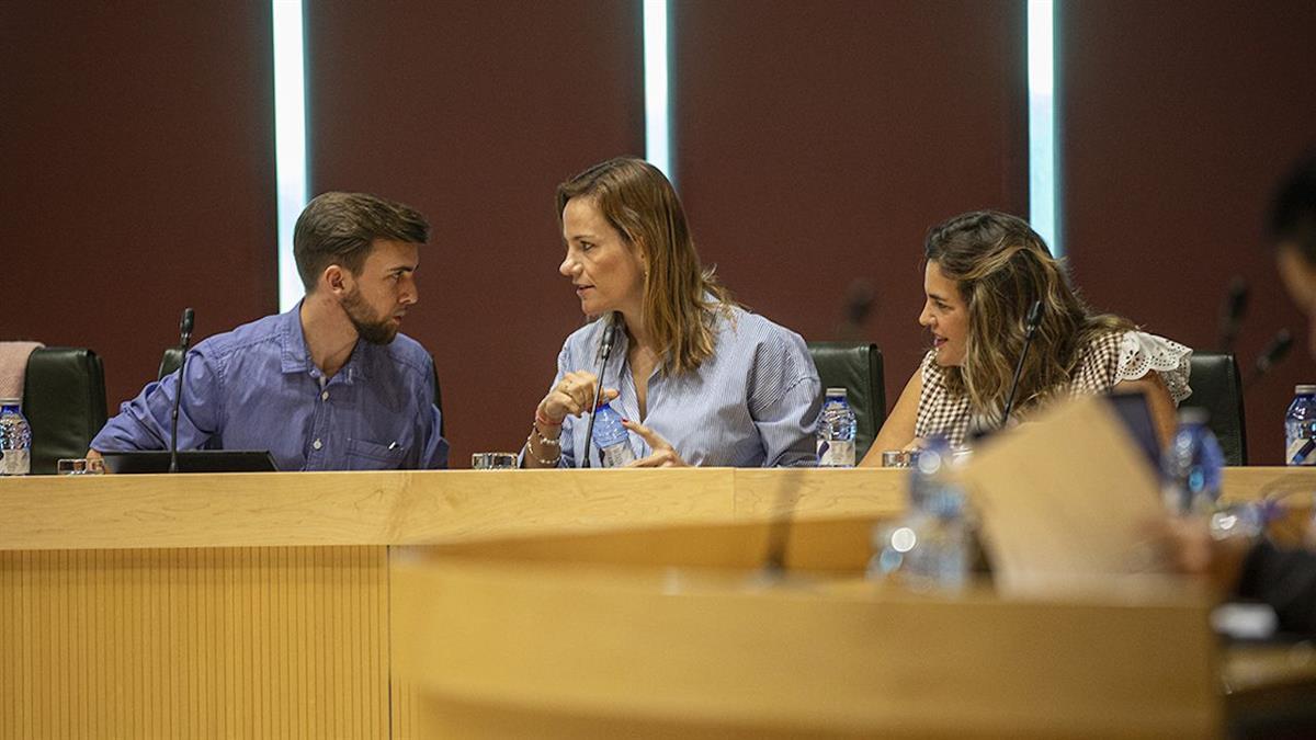 El Grupo Municipal vota en contra de la nueva normativa que regula la Zona de Bajas Emisiones en nuestra ciudad