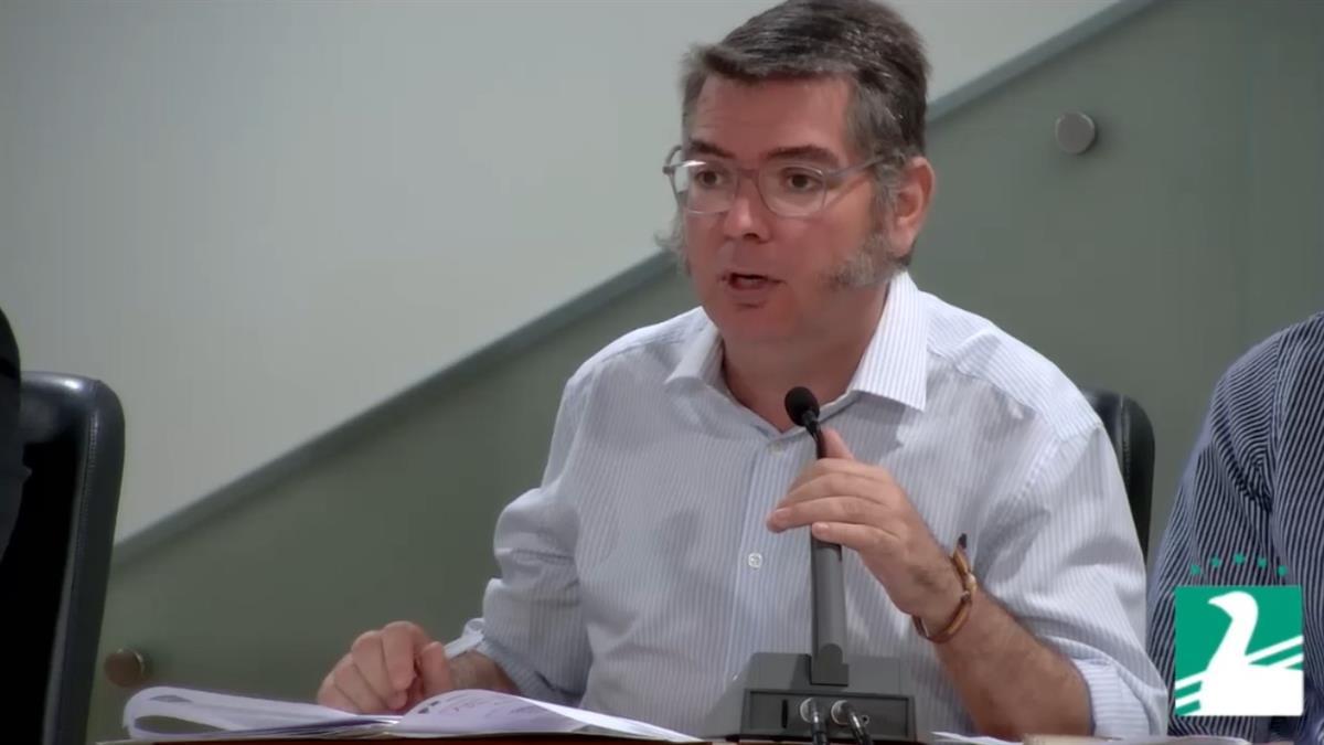 La formación verde ha votado en contra porque dicen "no reflejan la situación económica real del ayuntamiento"