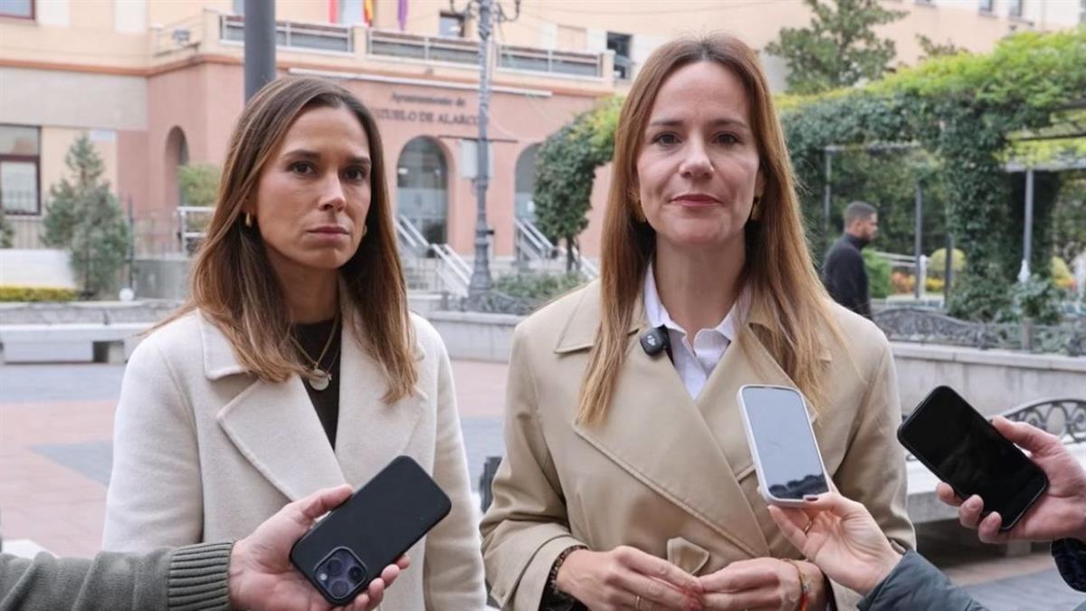 La formación verde ha presentado un recurso ante el Tribunal Superior de Justicia de Madrid para anular dicho tributo