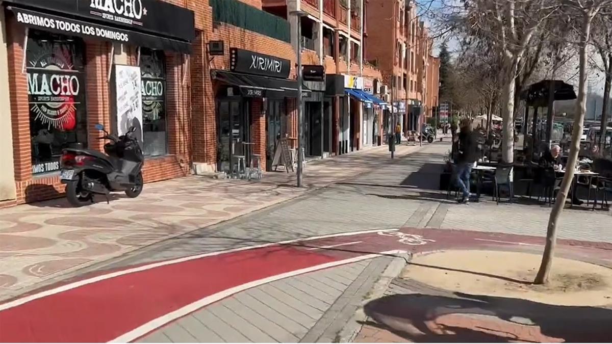 Vox ha denunciado la falta de mantenimiento y de conservación de nuestros espacios públicos, con alcorques vacíos