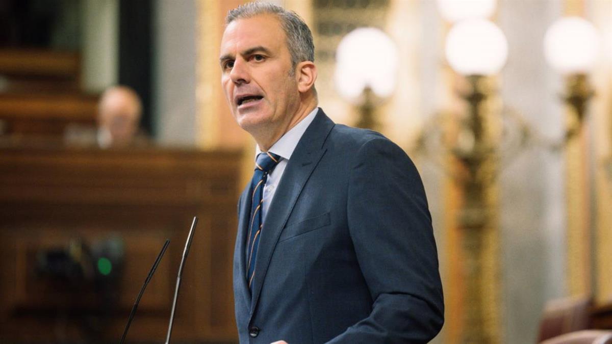 La Ejecutiva del partido tomó la decisión del cese el 12 de febrero y designó a Arantxa Cabello como sustituta