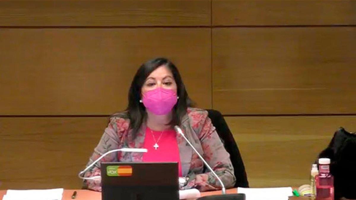 Ana de Dompablo: "Es una moción local absolutamente necesaria"