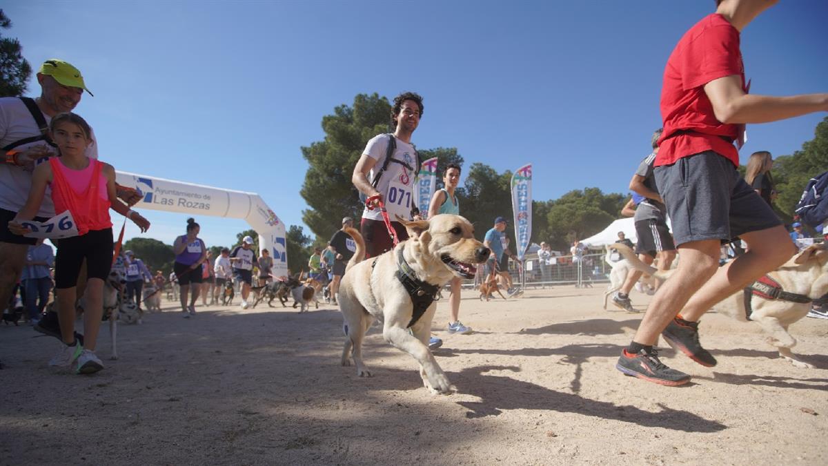 El objetivo de mostrar los beneficios que aportan estos animales de compañía en la salud y fomentar su adopción

