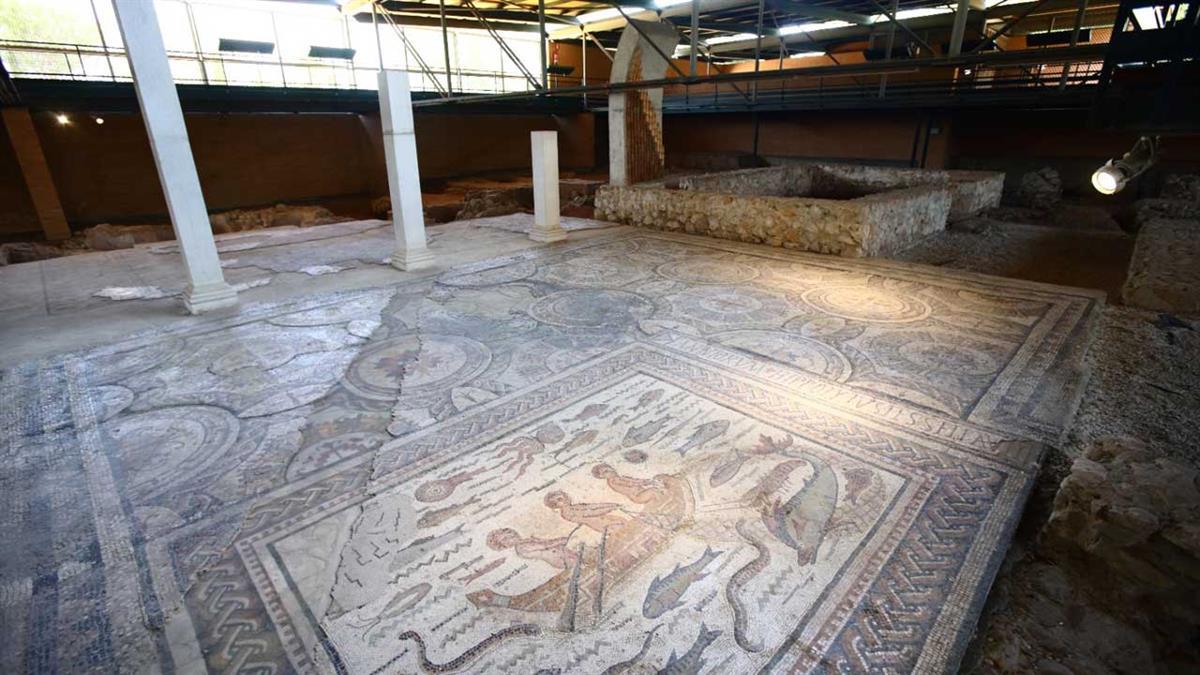 Desde este lunes y hasta el próximo 26 de agosto, todas a las 22:00 horas