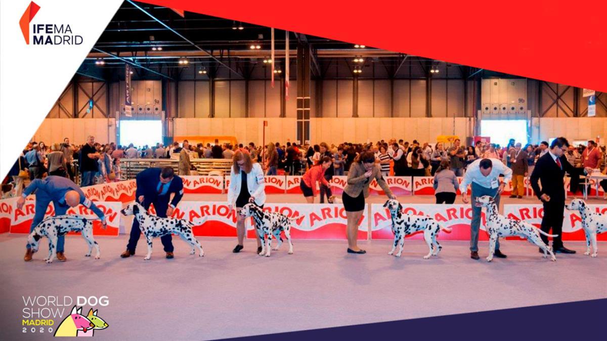 
Abre los ojos porque es real. Apunta, del 23 al 26 de junio, Exposición Mundial Canina
